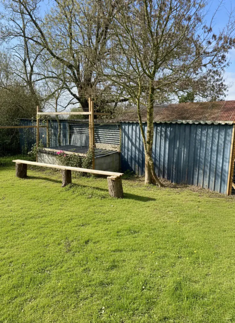 Socialisation & Jeux