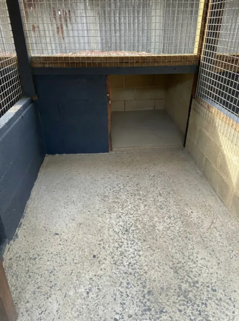 Petit box de 5m² sécurisé pour petits chiens à La Pension d'Isa